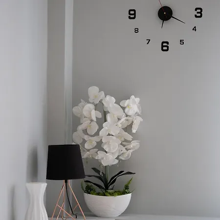 Libelta Quiet Charm By Bookinghost Poznań